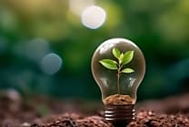 Sourcing à l'international : les recherches liées à l'énergie  [...]