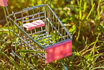 Finance verte : comment se structure le marché ?