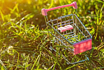 Finance verte : comment se structure le marché ?