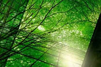 Transformation RSE chez Schneider Electric : entretien avec  [...]