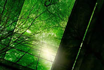 Transformation RSE chez Schneider Electric : entretien avec Christophe Quiquempoix