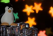 Windows et Linux, mondes à part pour les ransomwares
