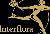 Comment Interflora a construit sa Modern Data Stack