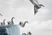 Les ventes en ligne des enseignes spécialisées diminuent de  [...]
