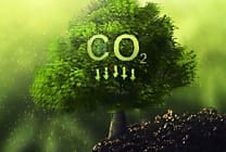 Supply chain: une action climatique encore à ses balbutiements