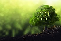 Supply chain: une action climatique encore à ses balbutiements