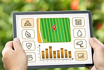 Pour réduire l'empreinte carbone de l'agroalimentaire, la  [...]