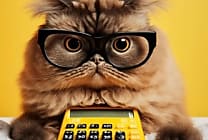 Comment bien investir son excédent de trésorerie ?