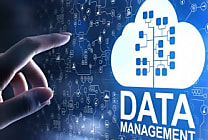 L'importance du management de la data pour un meilleur pilotage