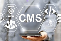 [Tribune] Headless CMS : 5 points pour booster sa plateforme e-commerce