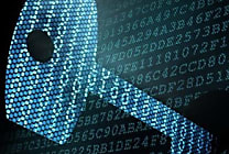 Le Zero Trust est un cheminement : concentrez-vous sur les données