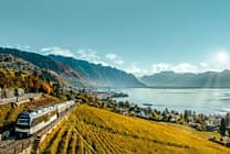 #SwisstainableEvents : Répondre aux exigences RSE des organisateurs