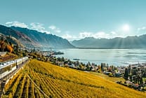 #SwisstainableEvents : Répondre aux exigences RSE des organisateurs
