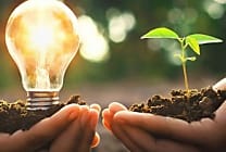 Sourcing à l'international : l'énergie solaire a le vent en poupe