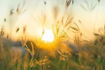 Apporter aux entreprises une vision holistique des impacts de  [...]