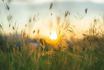 Apporter aux entreprises une vision holistique des impacts de la crise climatique