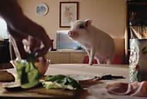 [La Créa de la semaine] « Tout est bon sans le cochon »,  [...]