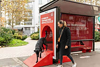 JCDecaux et Generali transforment un abribus en un parcours de santé pour chiens