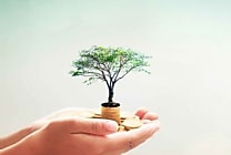 La dotation, une récompense qui allie plaisir et efficacité