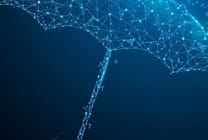 Baromètre CESIN : comment évolue la protection cyber des entreprises ?