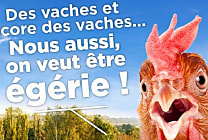 [La Créa de la semaine] « Égérie, chacun son tour », nouvelle campagne des Fermiers  [...]