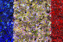 Cybermenace : le panorama ANSSI en six graphiques