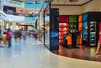 L'activité des magasins du commerce spécialisé en légère  [...]