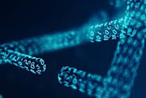 Les paquets de données : pilier fondamental de la cybersécurité