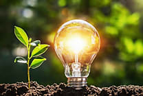 [Relations fournisseurs] Valorem rejoint les 100 premières entreprises françaises  [...]