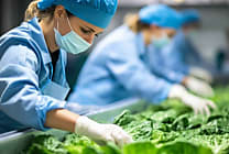 Une fonction achats sur le fil, mais une fonction clé face aux défis de l'agroalimentaire