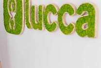 Motiver ses commerciaux sans variable : la recette de Lucca