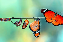 Lead generation : augmentez votre taux de transformation !
