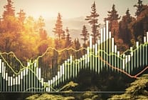 Qui nommer pour la vérification du rapport de durabilité ?