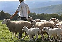 Les entreprises pour l'environnement (EpE) lancent la  [...]