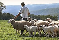 Les entreprises pour l'environnement (EpE) lancent la publication  [...]