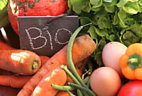 Suppression de l'Agence Bio : la filière bio se mobilise