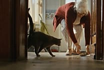 [La Créa de la semaine] «Dans la vie, tout coûte», nouvelle  [...]