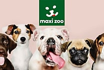 Maxi Zoo en pleine croissance sur le marché de l'animalerie