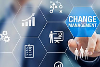 Analyse du marché du management de transition 2024 & Perspectives 2025