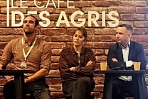 Formation des prix de la filière agro-industrielle, une urgence ?