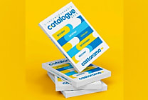 Catalogue papier : Castorama imprime 650 000 exemplaires de son 'Incontournable 2025'