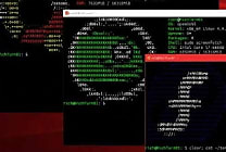 Build 2025 : WSL, un passage symbolique en open source
