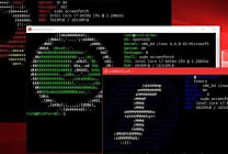 Build 2025 : WSL, un passage symbolique en open source