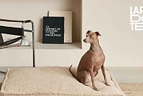 La Redoute investit le marché des animaux de compagnie