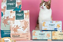 Ziggy : une success story bordelaise pour chats bien nourris