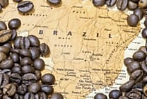 Droits de douane et marché du café : Quels impacts sur le  [...]