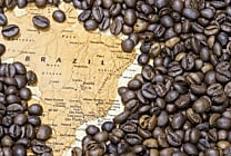 Droits de douane et marché du café : Quels impacts sur le sourcing international ?