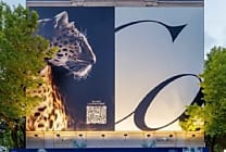 Cartier et Snap : l'expérience client autour de la Panthère