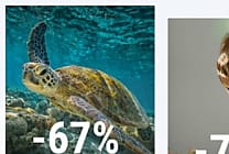 Comment concevoir des publicités plus responsables?
