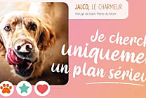 Saint-Valentin : les opérations marketing les plus séduisantes en 2021